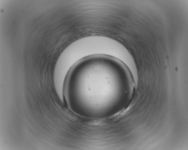 X0000070430086200606231929