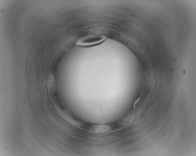 X0000070430087200606231929