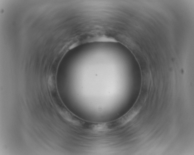 X0000070430088200606231929