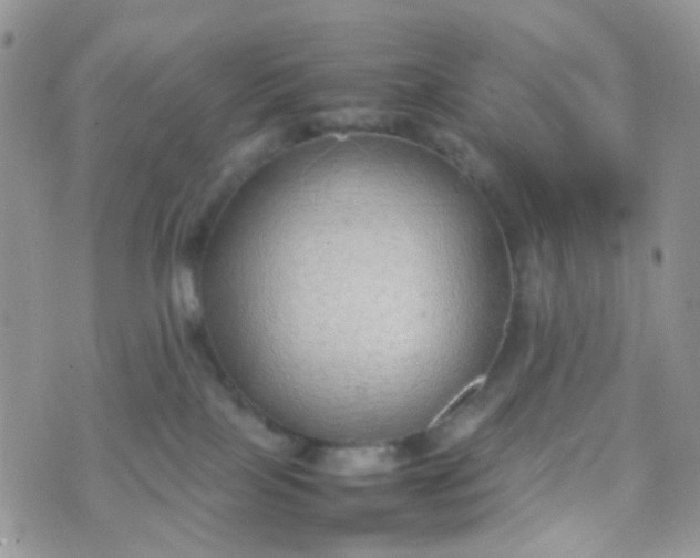 X0000070430089200606231929