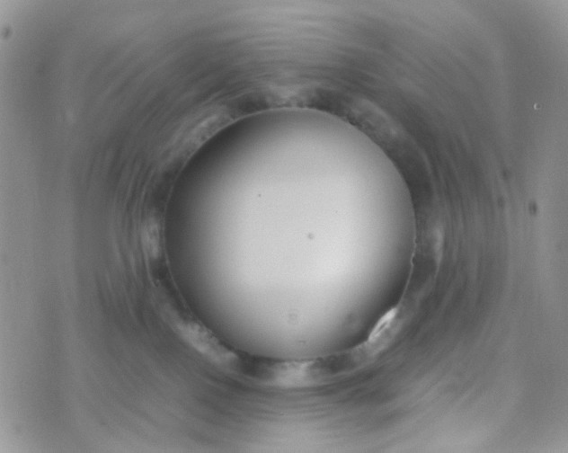 X0000070430090200606231929