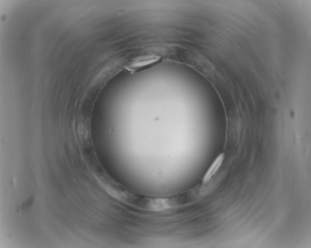 X0000070430091200606231929