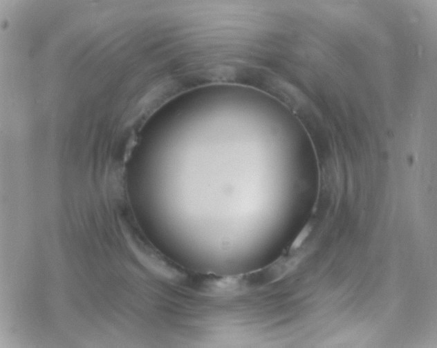 X0000070430092200606231929