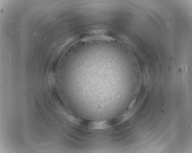 X0000070430093200606231929