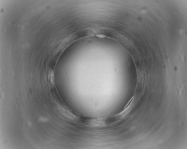 X0000070430094200606231929