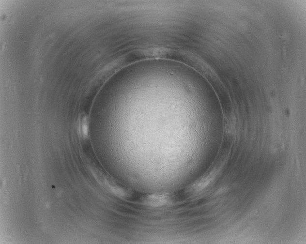 X0000070430095200606231929