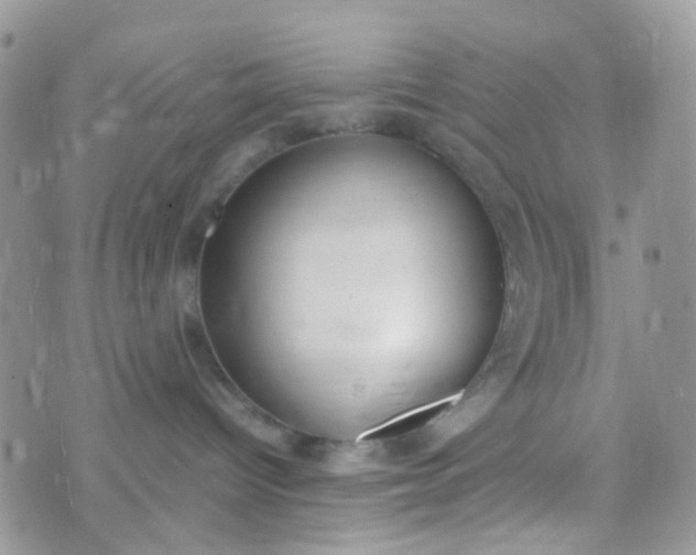 X0000070430096200606231929