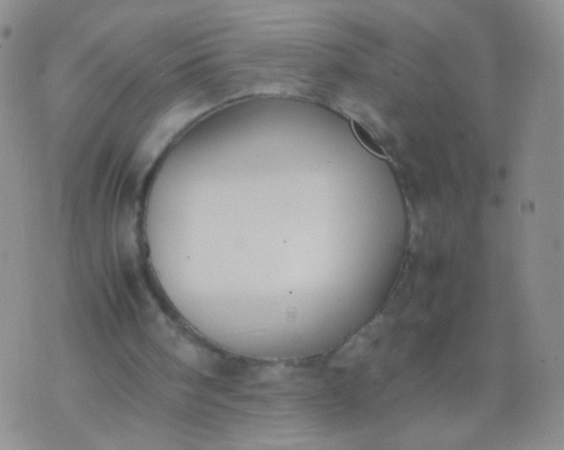 X0000070430098200606231928