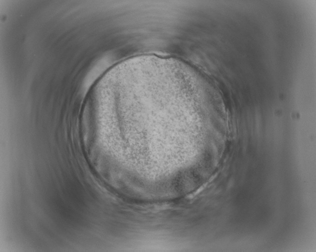 X0000070430099200606231928