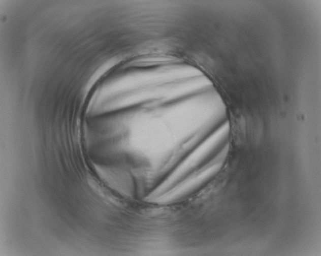 X0000070430100200606231928