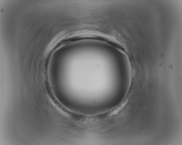 X0000070430101200606231928