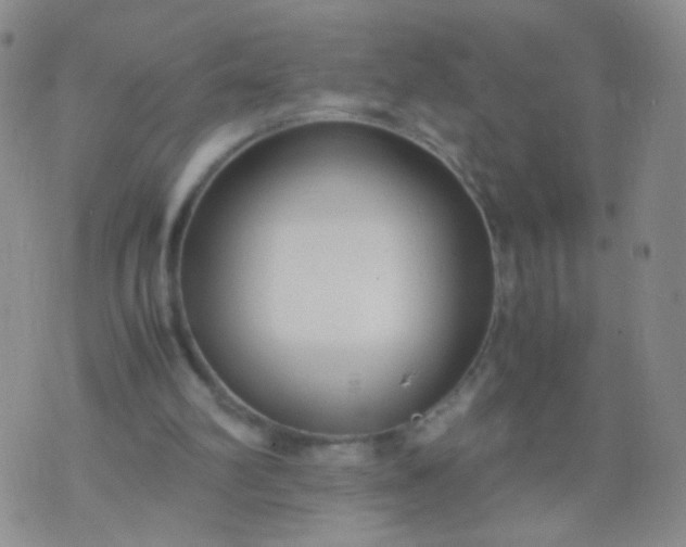 X0000070430102200606231928