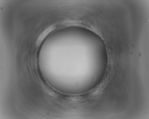 X0000070430103200606231928