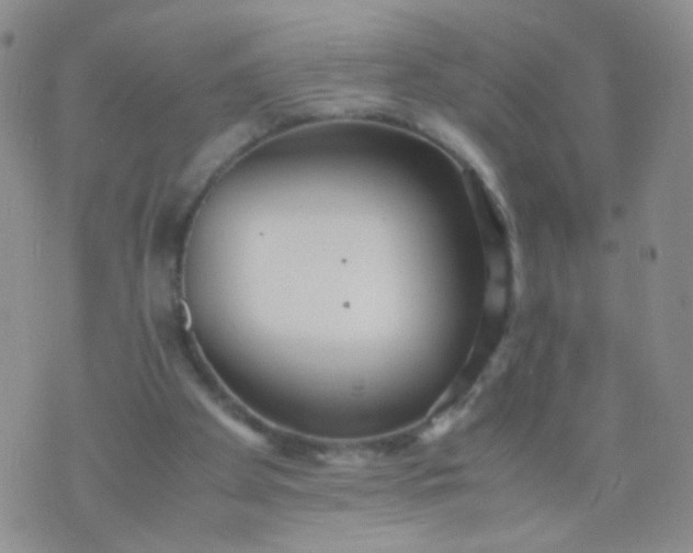 X0000070430105200606231928