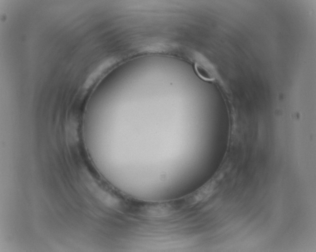 X0000070430106200606231928