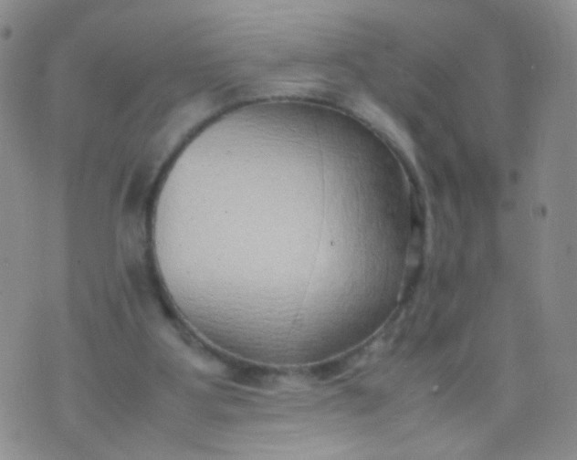 X0000070430107200606231928