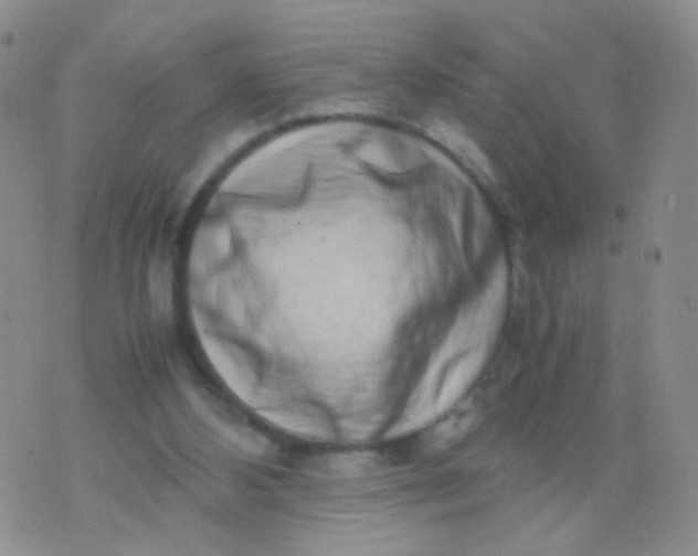 X0000070430108200606231928