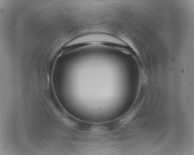 X0000070430109200606231928