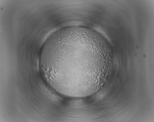 X0000070430110200606231928