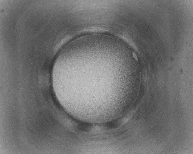 X0000070430111200606231928