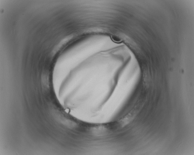 X0000070430112200606231928