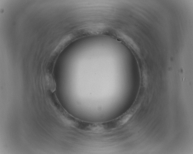 X0000070430113200606231928