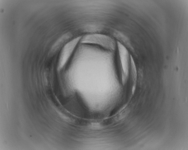 X0000070430114200606231928