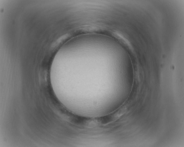 X0000070430115200606231928