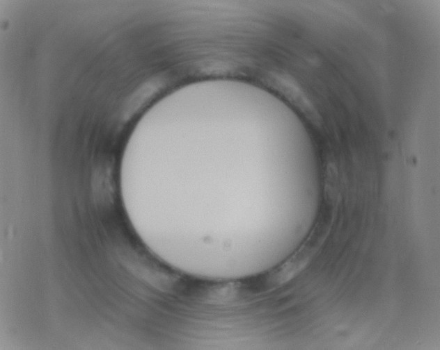 X0000070430116200606231928