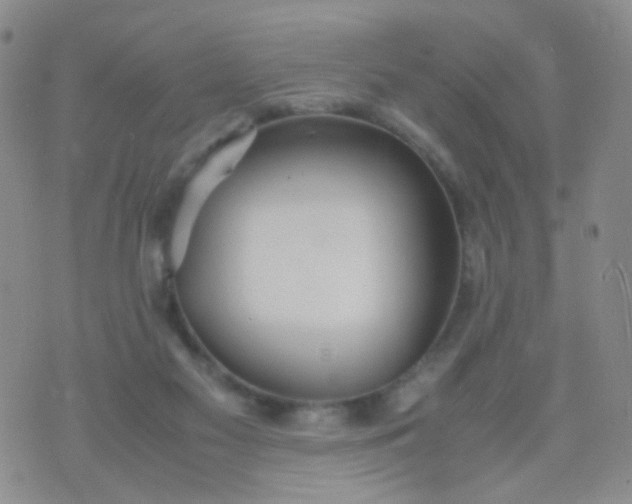 X0000070430117200606231928