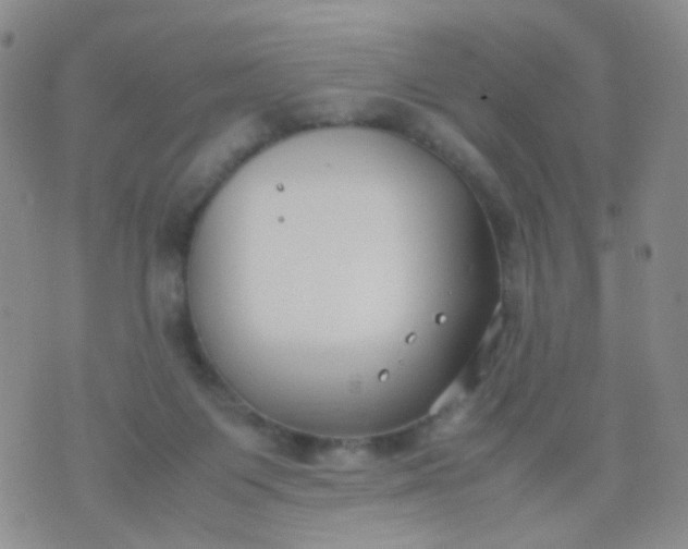 X0000070430119200606231928