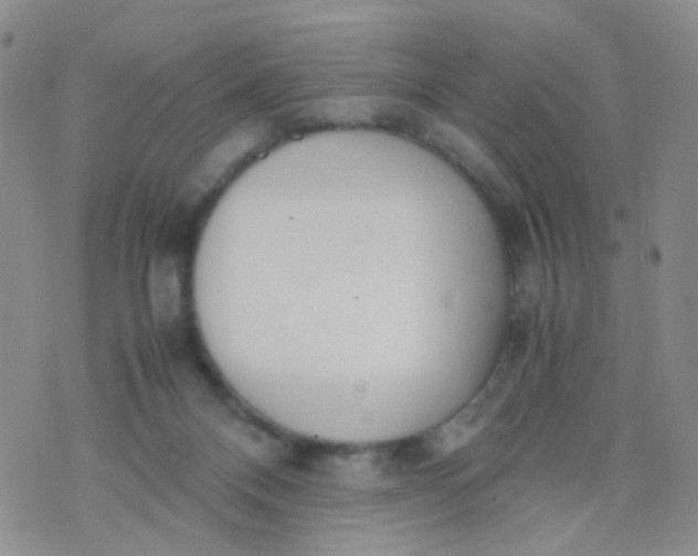 X0000070430120200606231928