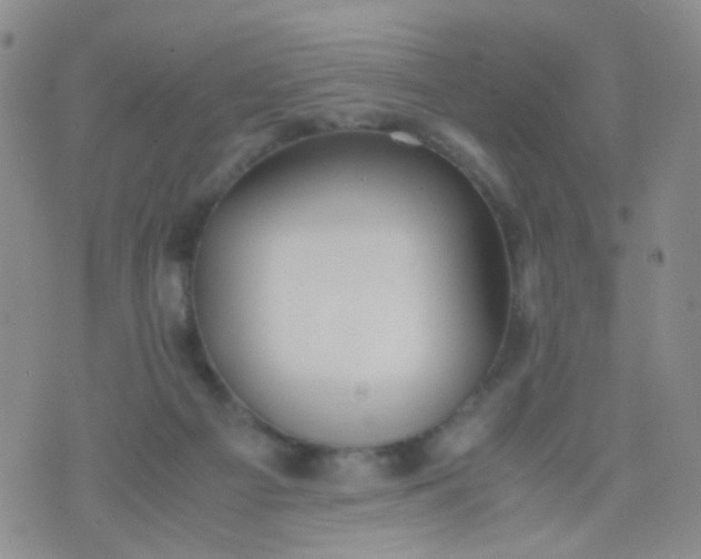 X0000070430121200606231928