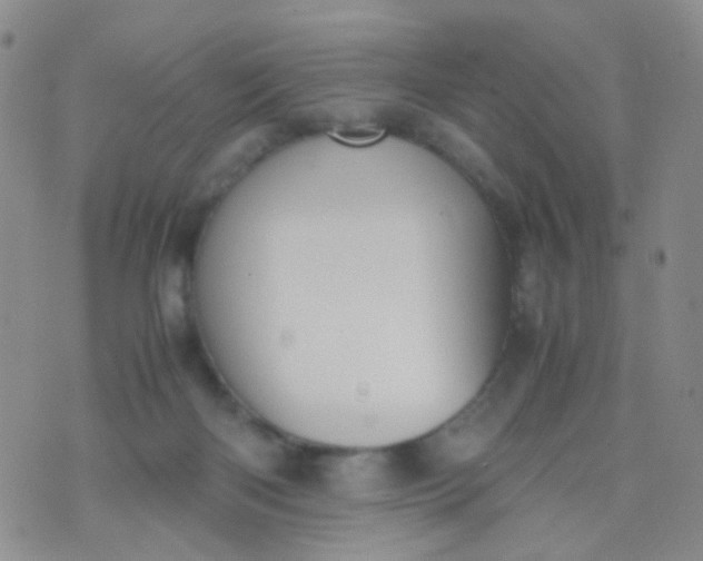 X0000070430122200606231928