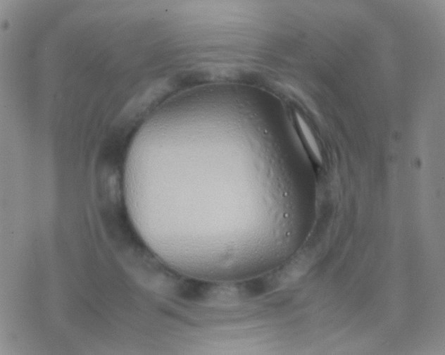 X0000070430123200606231927