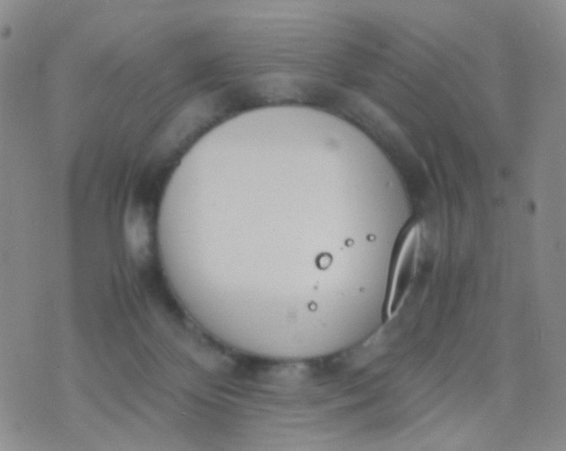 X0000070430124200606231927