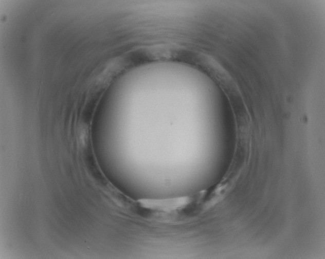 X0000070430125200606231927