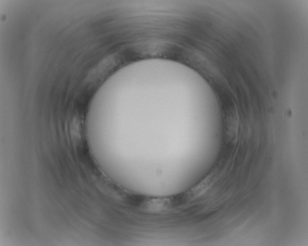 X0000070430126200606231927