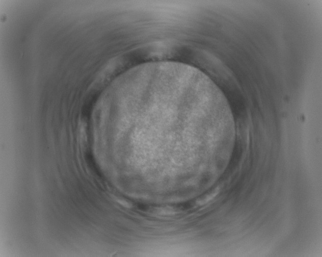 X0000070430127200606231927