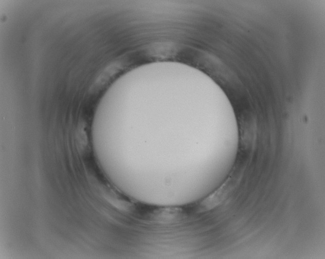 X0000070430128200606231927