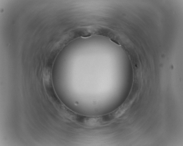 X0000070430129200606231927