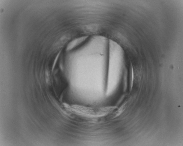 X0000070430130200606231927