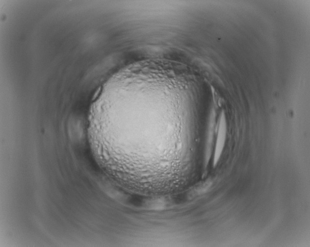 X0000070430131200606231927