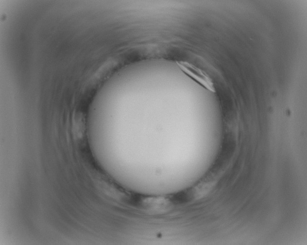 X0000070430133200606231927