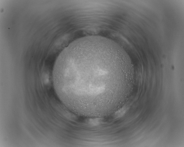 X0000070430134200606231927