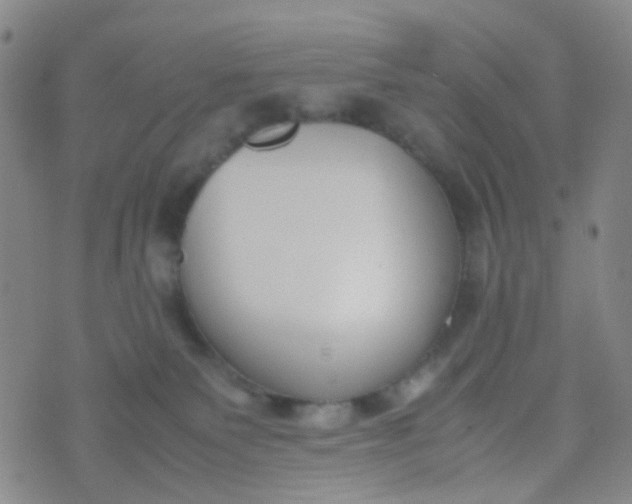 X0000070430135200606231927