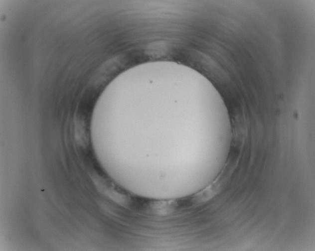 X0000070430136200606231927