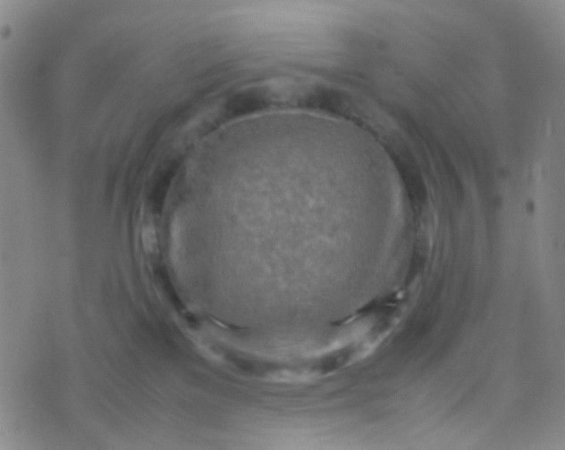 X0000070430137200606231927