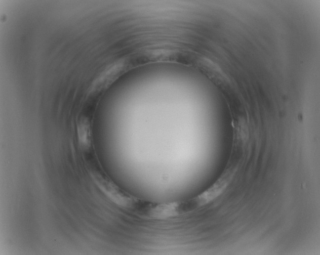 X0000070430138200606231927