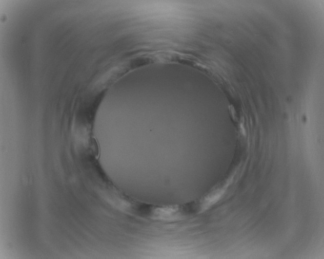 X0000070430139200606231927